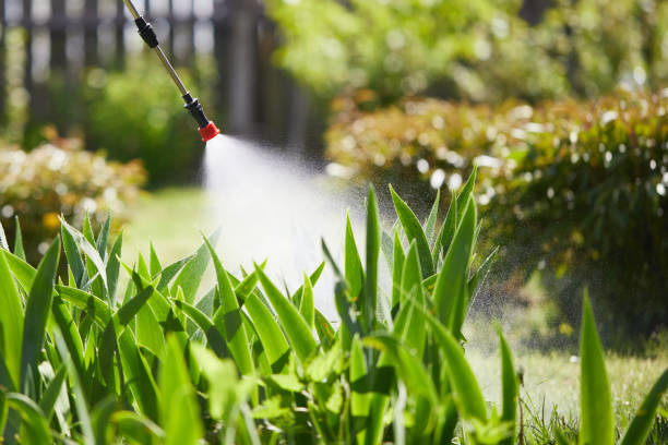 24/7 Emergency Ant Control experts in Chickamauga, GA